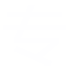 專(zhuān)